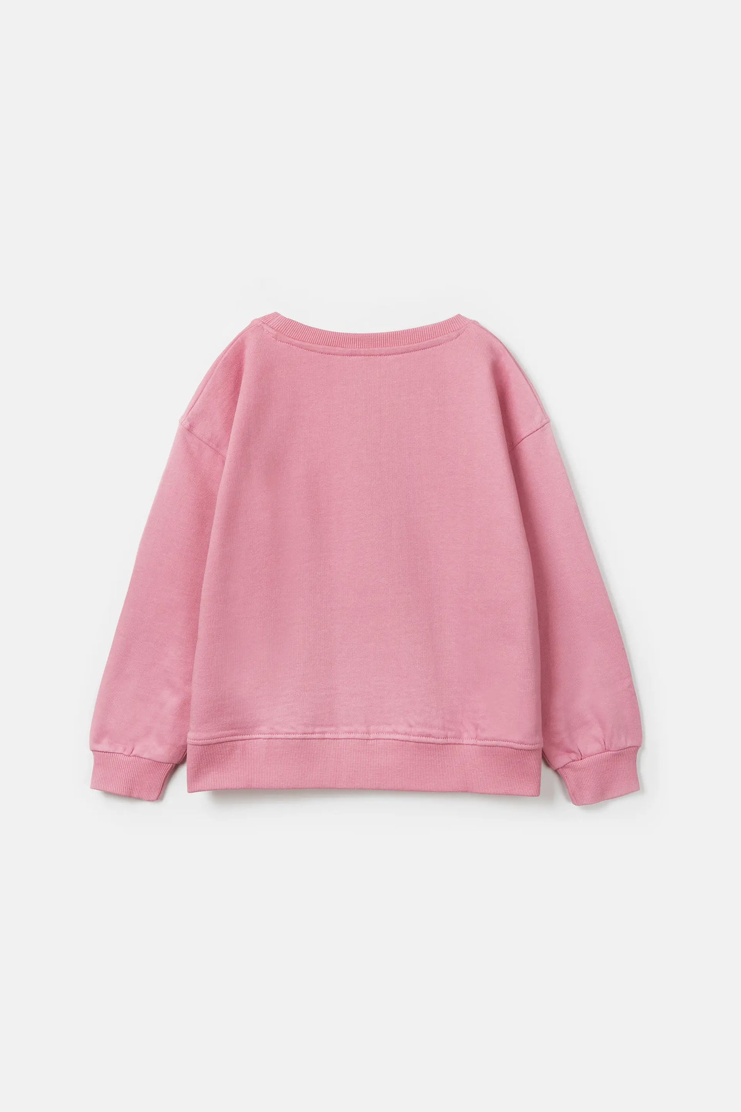 Unisex Rabbit Graphic Plush Sweatshirt