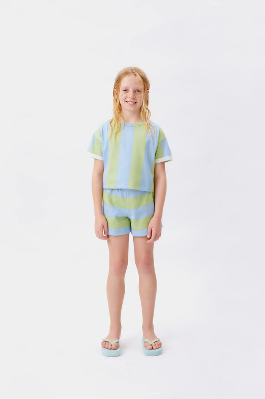 Camiseta unisex de rayas verde y azul