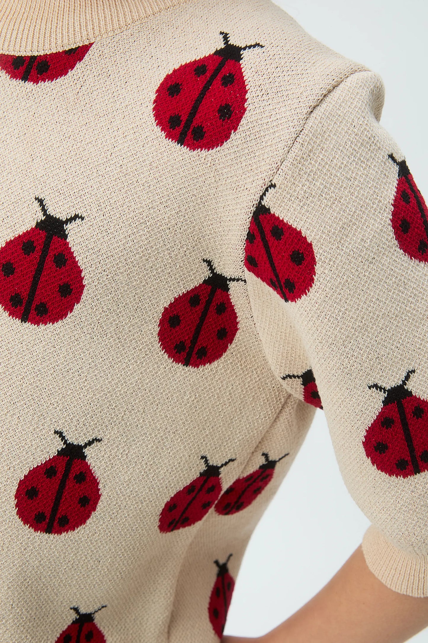 Maglione lavorato a maglia da bambina con stampa Coccinella Rossa